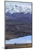 Tekapo, South Island, New Zealand-Paul Dymond-Mounted Photographic Print