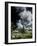 Tekspot-Tim Kahane-Framed Photographic Print