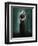 Tekzoom-Lynne Davies-Framed Photographic Print