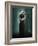 Tekzoom-Lynne Davies-Framed Photographic Print