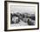 Tel Aviv: Panorama of the Newly Created City-null-Framed Photographic Print