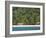 Tela, Parque National Jeanette Kawas, Punta Sal, Cocalto Beach, Honduras-Jane Sweeney-Framed Photographic Print