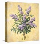 Lilac Season I-Telander-Stretched Canvas