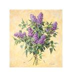 Lilac Season II-Telander-Framed Giclee Print