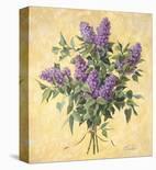 Lilac Season I-Telander-Stretched Canvas