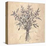Lilac Season II-Telander-Stretched Canvas