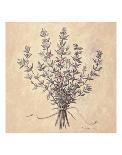 Scent of Thyme-Telander-Giclee Print