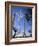 Telecommunications Tower by Architect Santiago Calatrava, Montjuic, Barcelona; Catalonia, Spain-Carlos Sanchez Pereyra-Framed Photographic Print