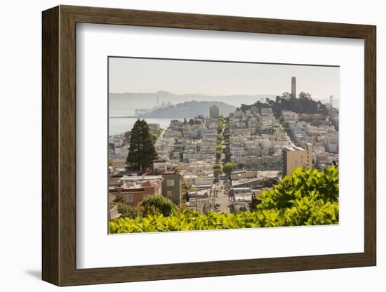 Telegraph Hill from Russion Hill, Coit Tower, San Francisco, California, Usa-Rainer Mirau-Framed Photographic Print