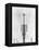 Telegraph Wires, Mexico, 1925-Tina Modotti-Framed Premier Image Canvas