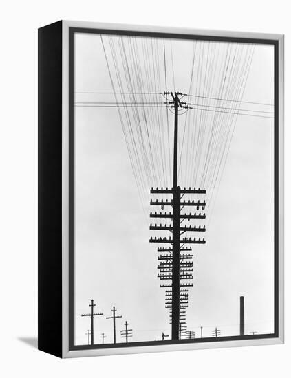 Telegraph Wires, Mexico, 1925-Tina Modotti-Framed Premier Image Canvas