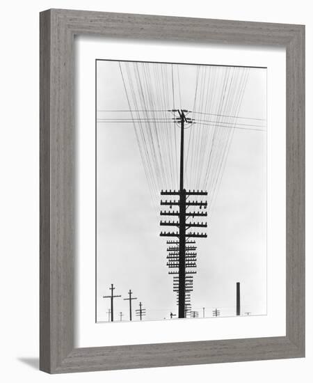 Telegraph Wires, Mexico, 1925-Tina Modotti-Framed Giclee Print