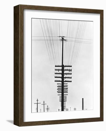 Telegraph Wires, Mexico, 1925-Tina Modotti-Framed Giclee Print