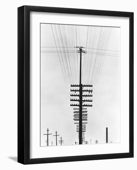 Telegraph Wires, Mexico, 1925-Tina Modotti-Framed Giclee Print