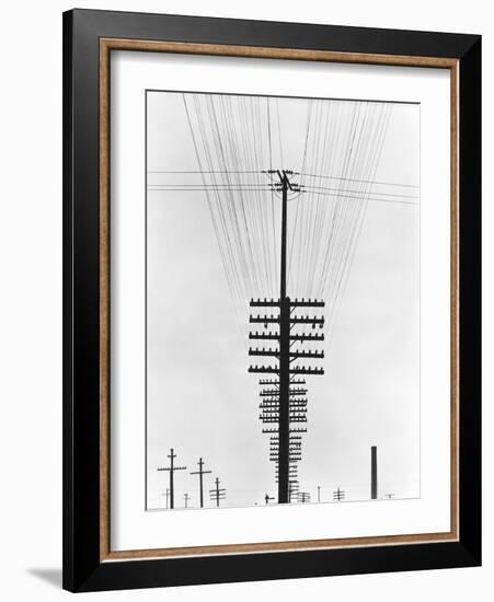 Telegraph Wires, Mexico, 1925-Tina Modotti-Framed Giclee Print