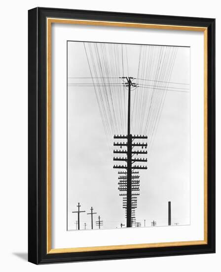 Telegraph Wires, Mexico, 1925-Tina Modotti-Framed Giclee Print