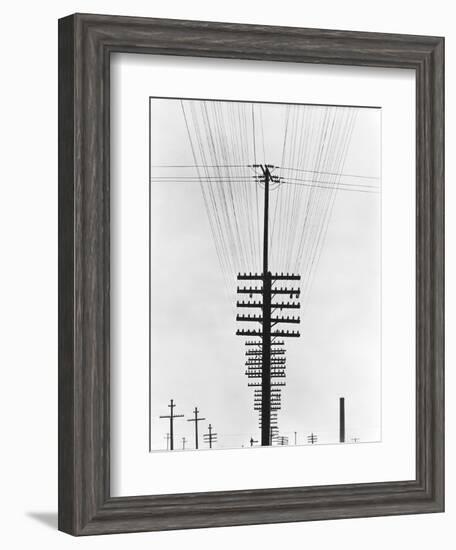 Telegraph Wires, Mexico, 1925-Tina Modotti-Framed Giclee Print