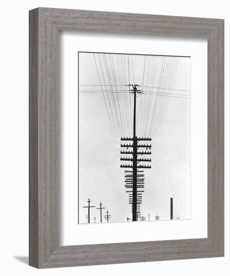 Telegraph Wires, Mexico, 1925-Tina Modotti-Framed Giclee Print