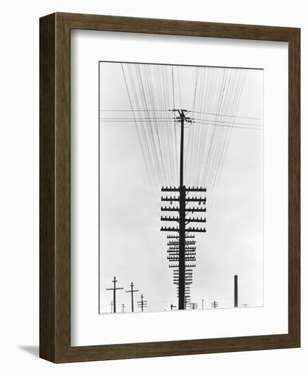 Telegraph Wires, Mexico, 1925-Tina Modotti-Framed Giclee Print