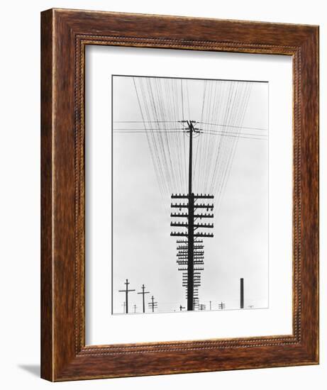 Telegraph Wires, Mexico, 1925-Tina Modotti-Framed Giclee Print