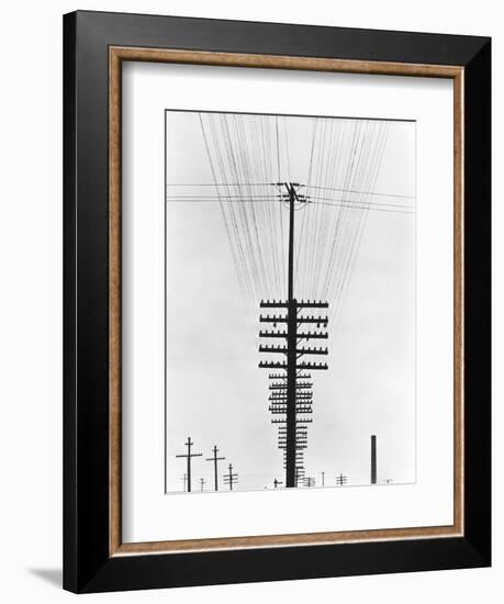 Telegraph Wires, Mexico, 1925-Tina Modotti-Framed Giclee Print