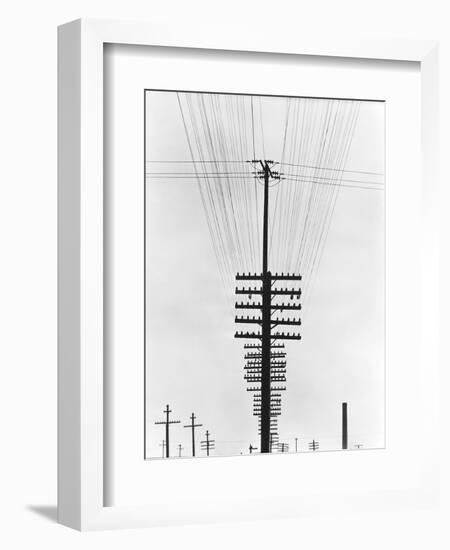 Telegraph Wires, Mexico, 1925-Tina Modotti-Framed Giclee Print