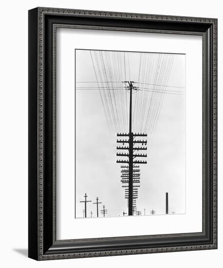 Telegraph Wires, Mexico, 1925-Tina Modotti-Framed Giclee Print