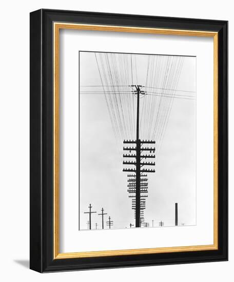 Telegraph Wires, Mexico, 1925-Tina Modotti-Framed Giclee Print