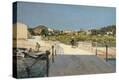 Stretched Canvas Print