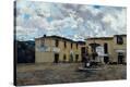 Stretched Canvas Print