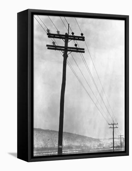 Telephone Poles in Snowy Weather-null-Framed Premier Image Canvas