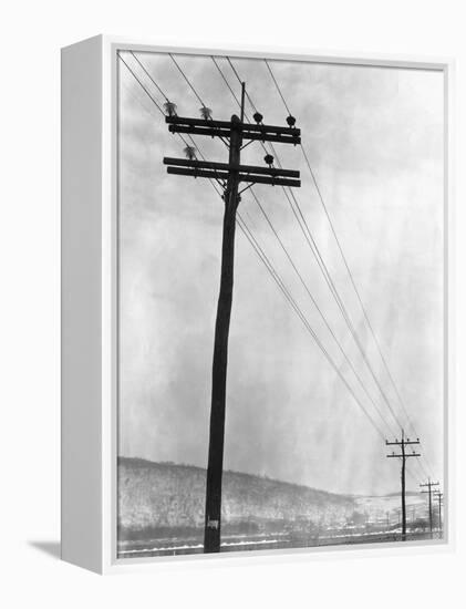 Telephone Poles in Snowy Weather-null-Framed Premier Image Canvas