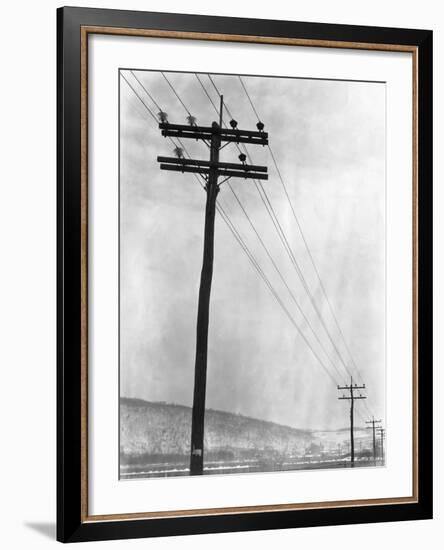 Telephone Poles in Snowy Weather-null-Framed Photographic Print