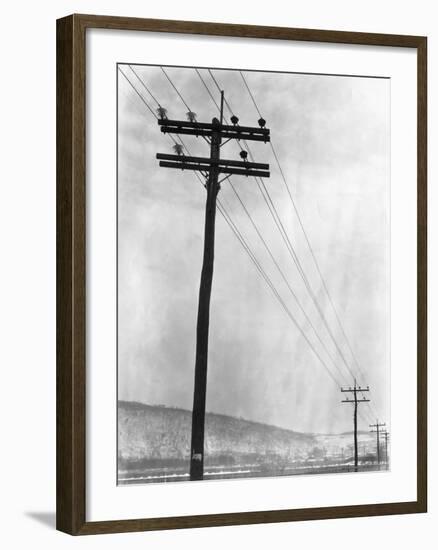 Telephone Poles in Snowy Weather-null-Framed Photographic Print