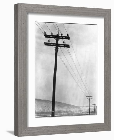 Telephone Poles in Snowy Weather-null-Framed Photographic Print