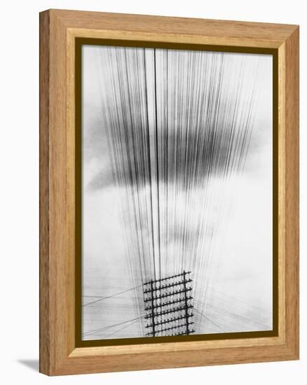 Telephone Wires, Mexico, 1925-Tina Modotti-Framed Premier Image Canvas