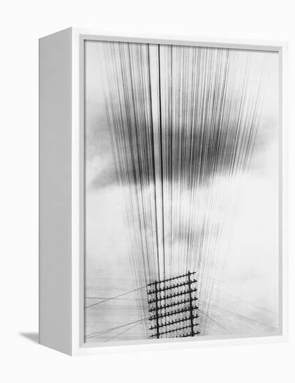 Telephone Wires, Mexico, 1925-Tina Modotti-Framed Premier Image Canvas