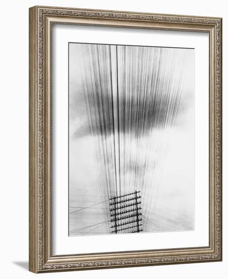 Telephone Wires, Mexico, 1925-Tina Modotti-Framed Giclee Print