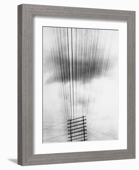 Telephone Wires, Mexico, 1925-Tina Modotti-Framed Giclee Print