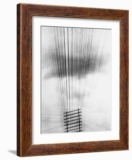 Telephone Wires, Mexico, 1925-Tina Modotti-Framed Giclee Print