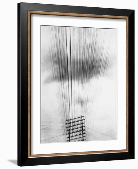 Telephone Wires, Mexico, 1925-Tina Modotti-Framed Giclee Print