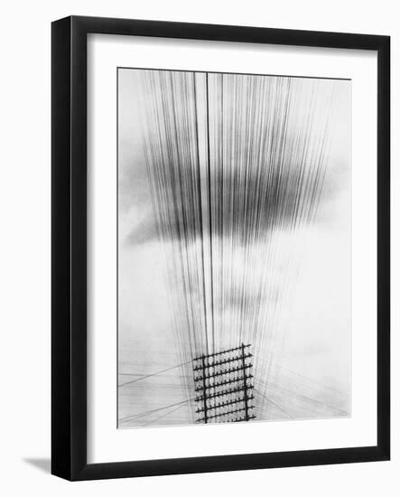 Telephone Wires, Mexico, 1925-Tina Modotti-Framed Giclee Print