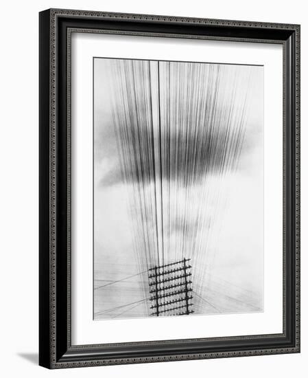 Telephone Wires, Mexico, 1925-Tina Modotti-Framed Giclee Print