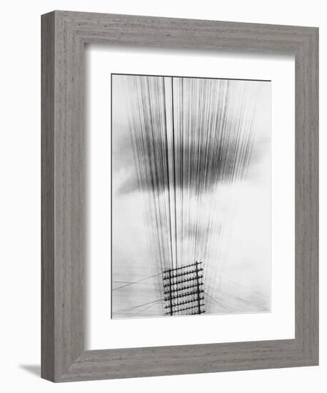 Telephone Wires, Mexico, 1925-Tina Modotti-Framed Giclee Print