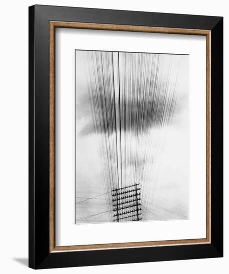 Telephone Wires, Mexico, 1925-Tina Modotti-Framed Giclee Print