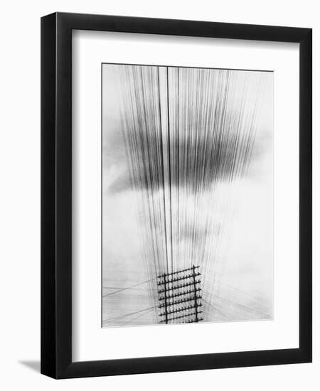 Telephone Wires, Mexico, 1925-Tina Modotti-Framed Giclee Print