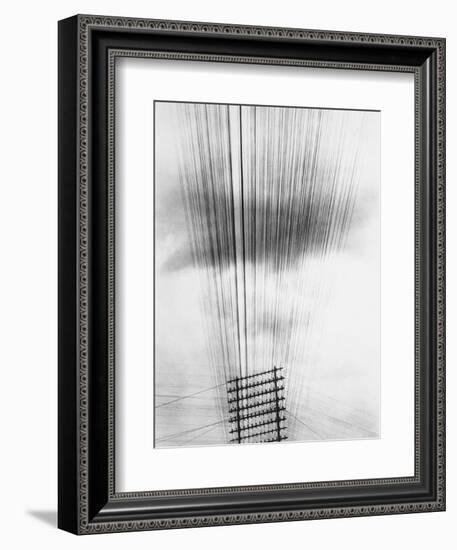 Telephone Wires, Mexico, 1925-Tina Modotti-Framed Giclee Print