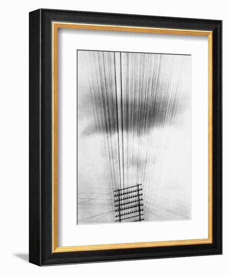 Telephone Wires, Mexico, 1925-Tina Modotti-Framed Giclee Print