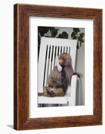 Telephoning Baboon-DLILLC-Framed Photographic Print