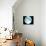 Telescope Photo of Full Moon From Earth-Dr. Fred Espenak-Photographic Print displayed on a wall